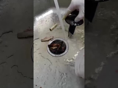 rifiuti alimentari Disposer di 2800r/min 200*200*400mm con il commutatore facoltativo